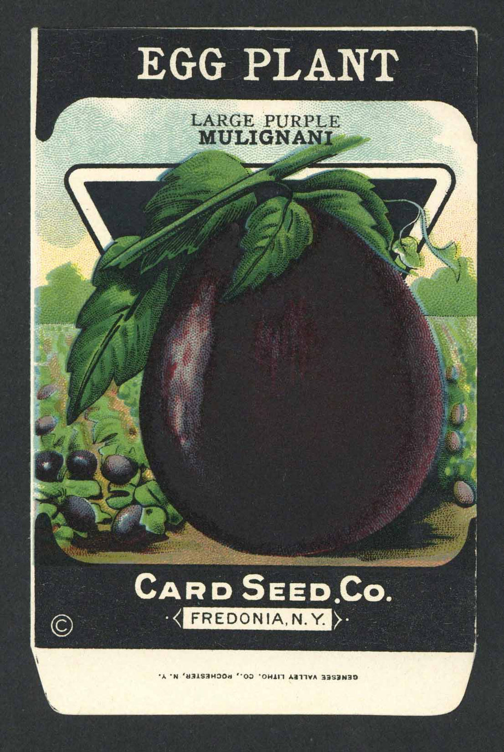 Egg Plant Antique Card Seed Co. Seed Packet