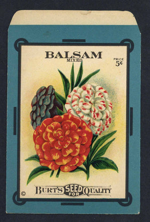 Balsam Antique Burt's Seed Packet, Drumhead, L