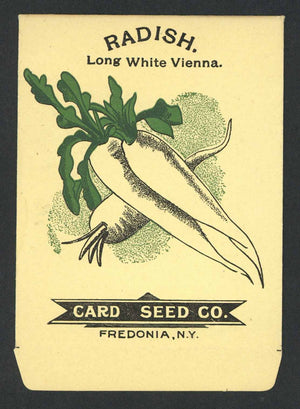 Radish Antique Card Seed Co. Seed Packet, Long White Vienna