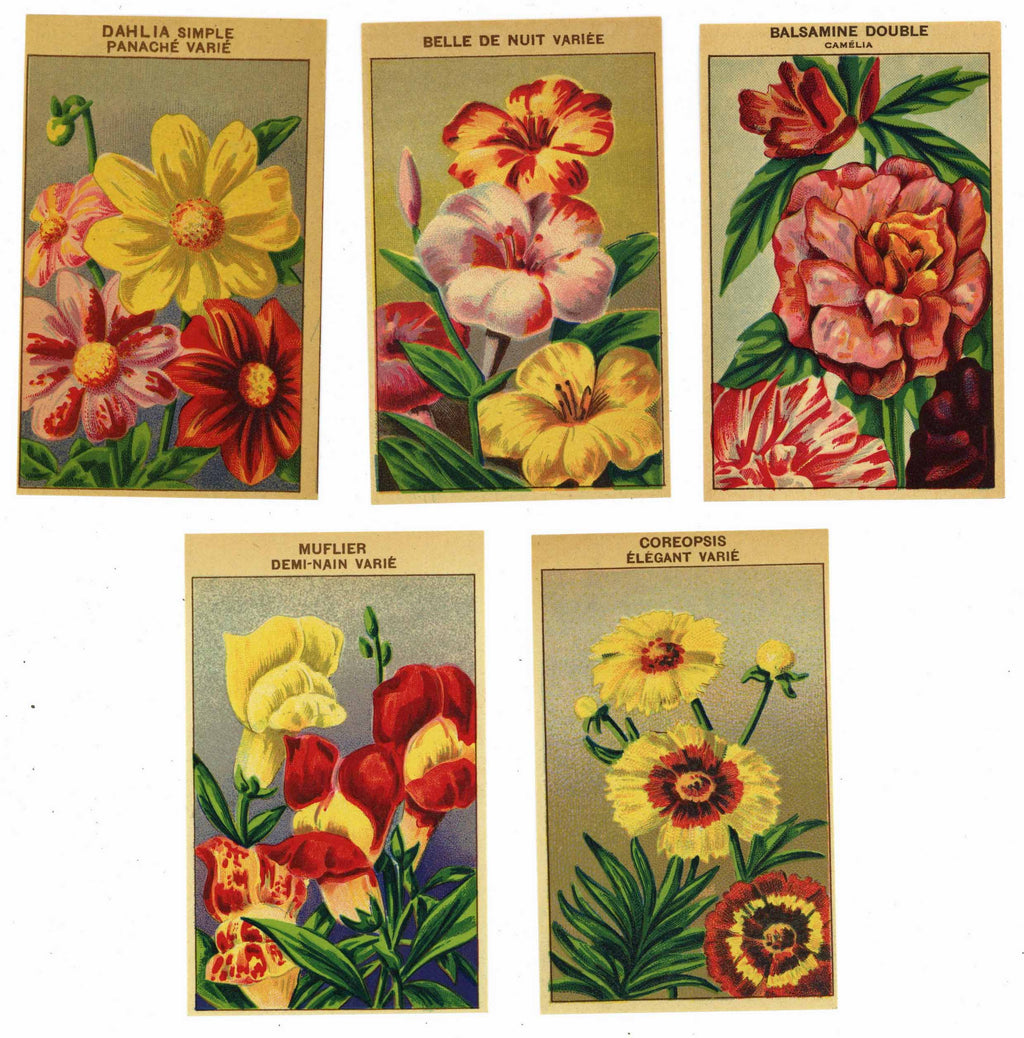 plant seed labels French Flower Antique Seed Packet Label Collection #1