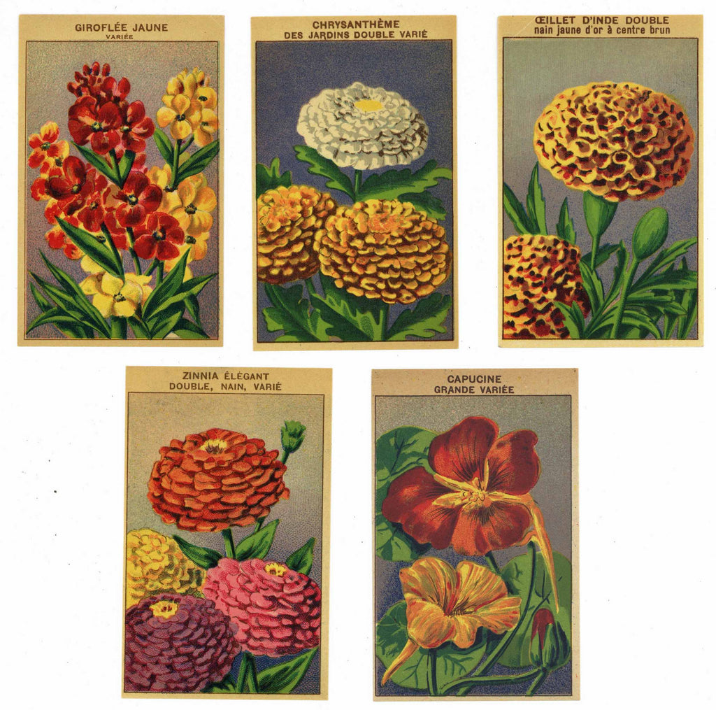 French Flower Antique Seed Packet Label Collection #3