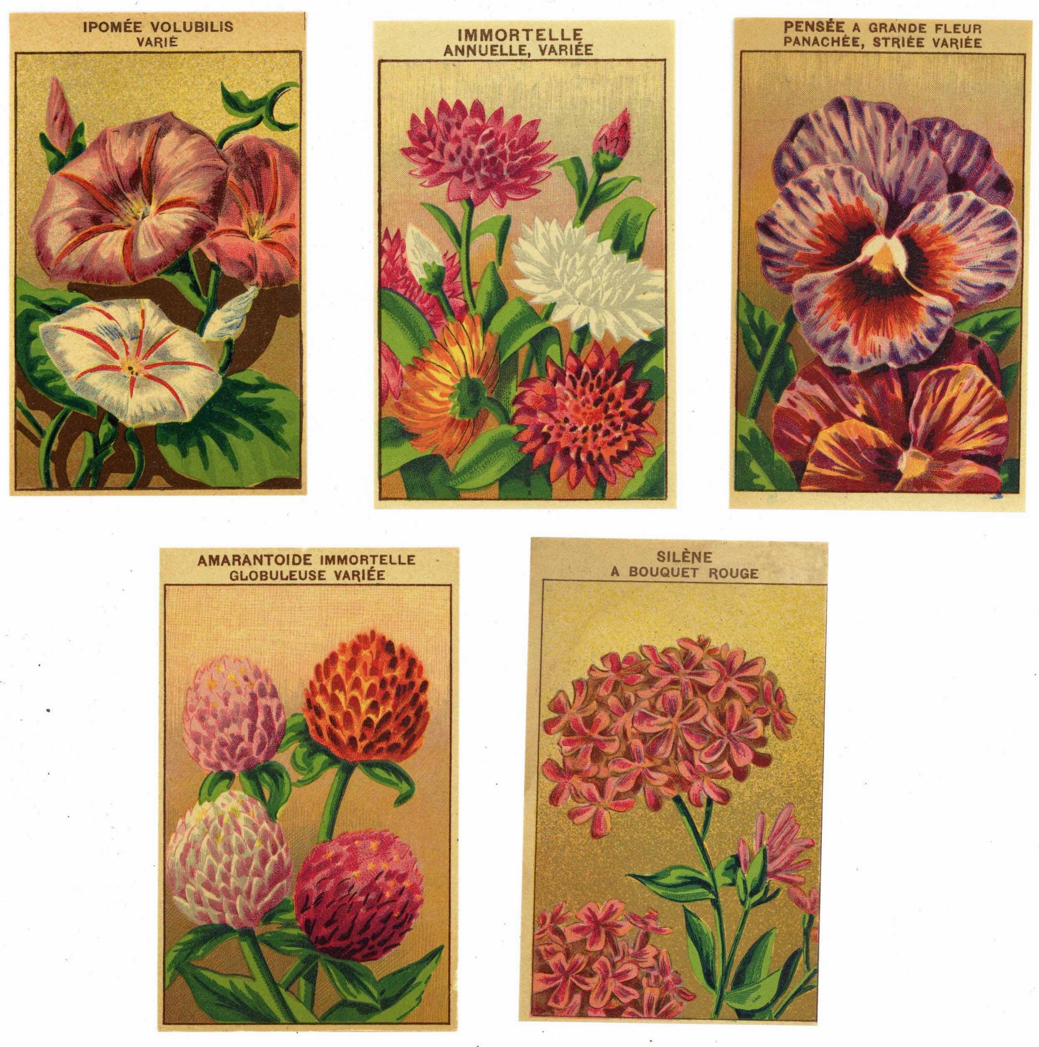 French Flower Antique Seed Packet Label Collection #4