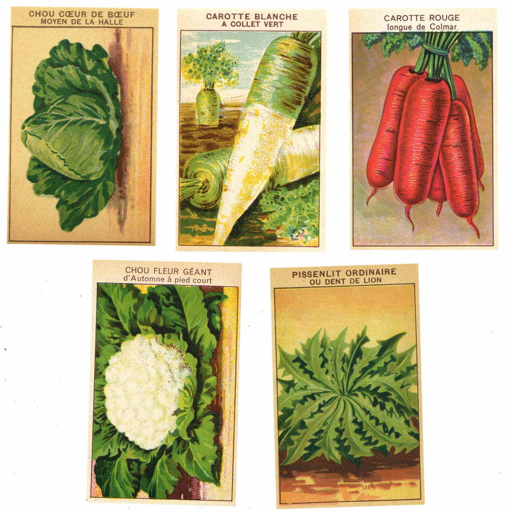 French Vegetable Antique Seed Packet Label Collection #6