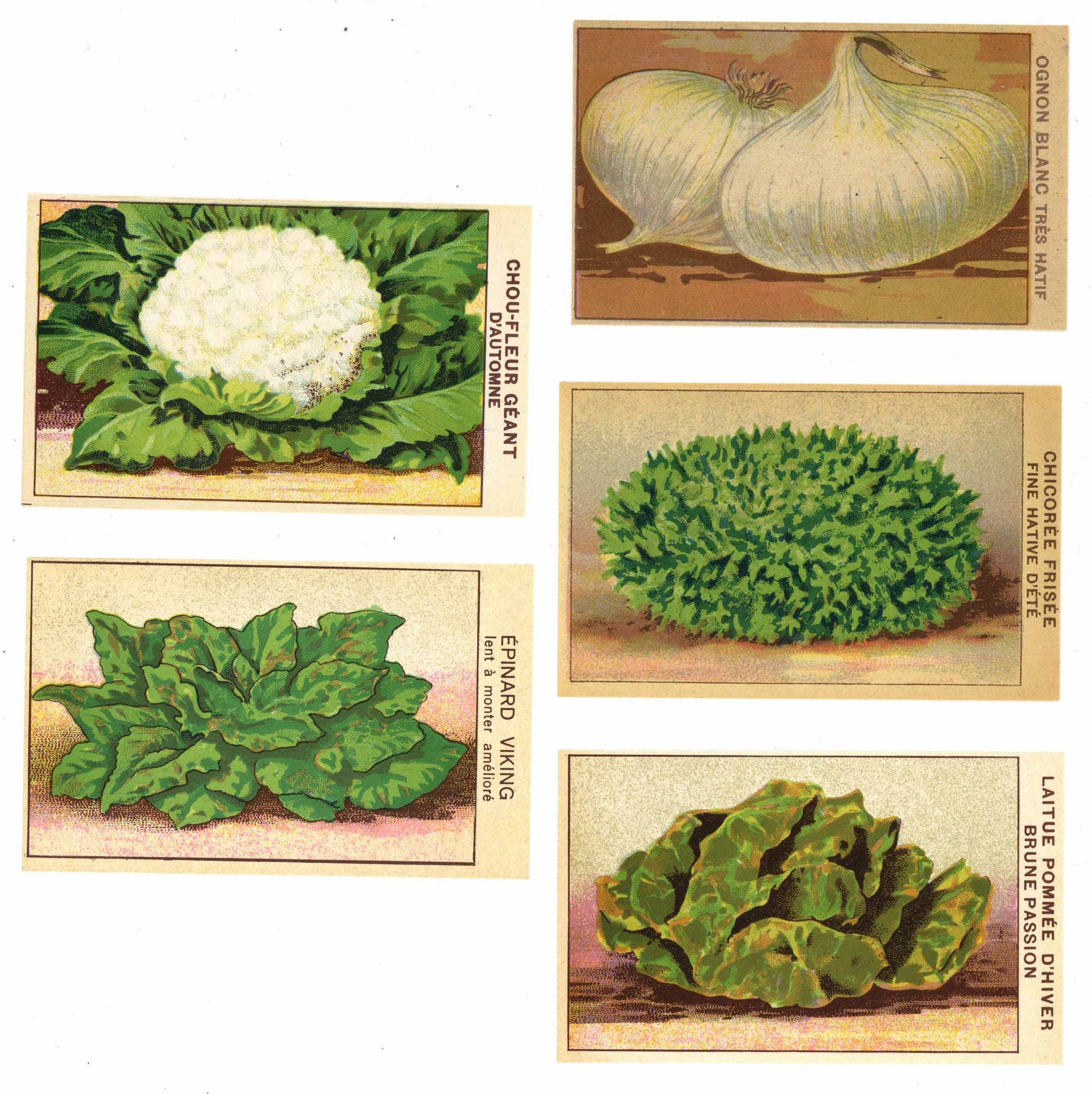 French Vegetable Antique Seed Packet Label Collection #7
