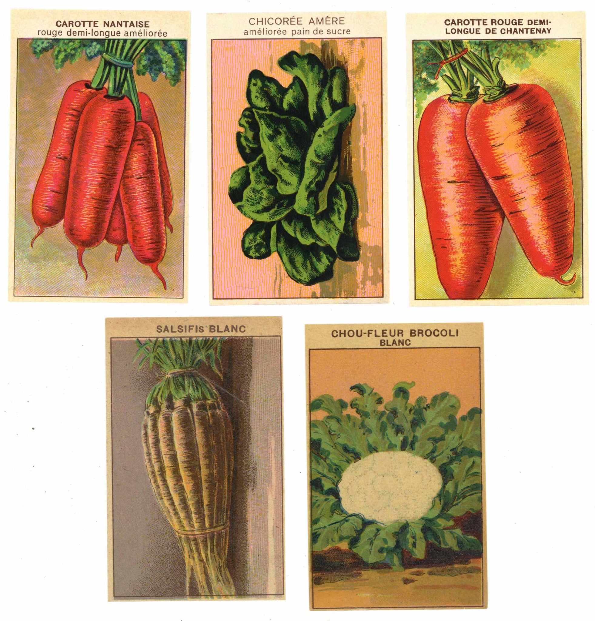 French Vegetable Antique Seed Packet Label Collection #8