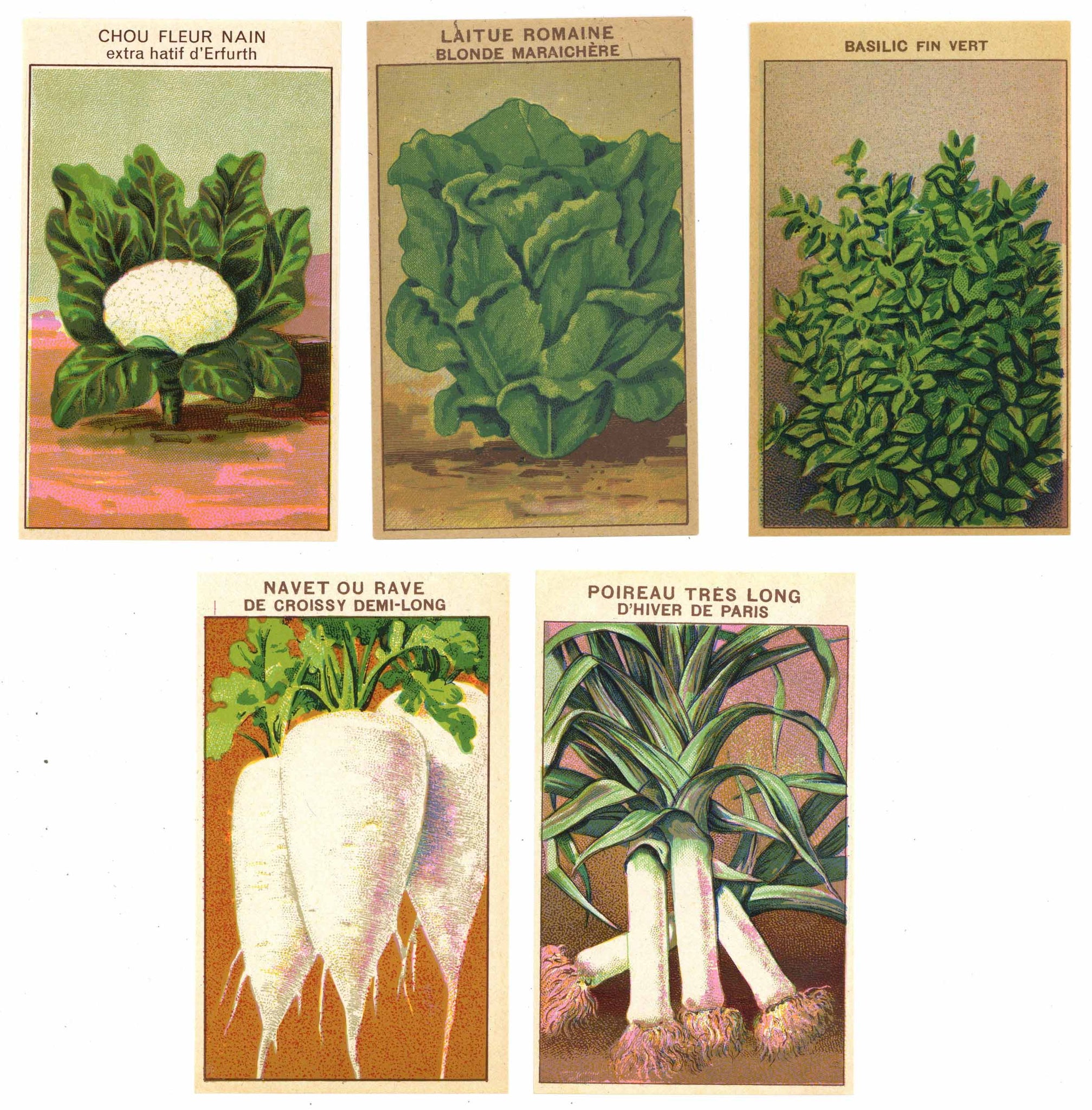 French Vegetable Antique Seed Packet Label Collection #9
