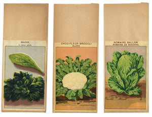 French Vegetable Antique Seed Packet Collection #11