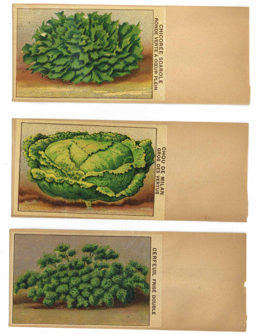 French Vegetable Antique Seed Packet Collection #15