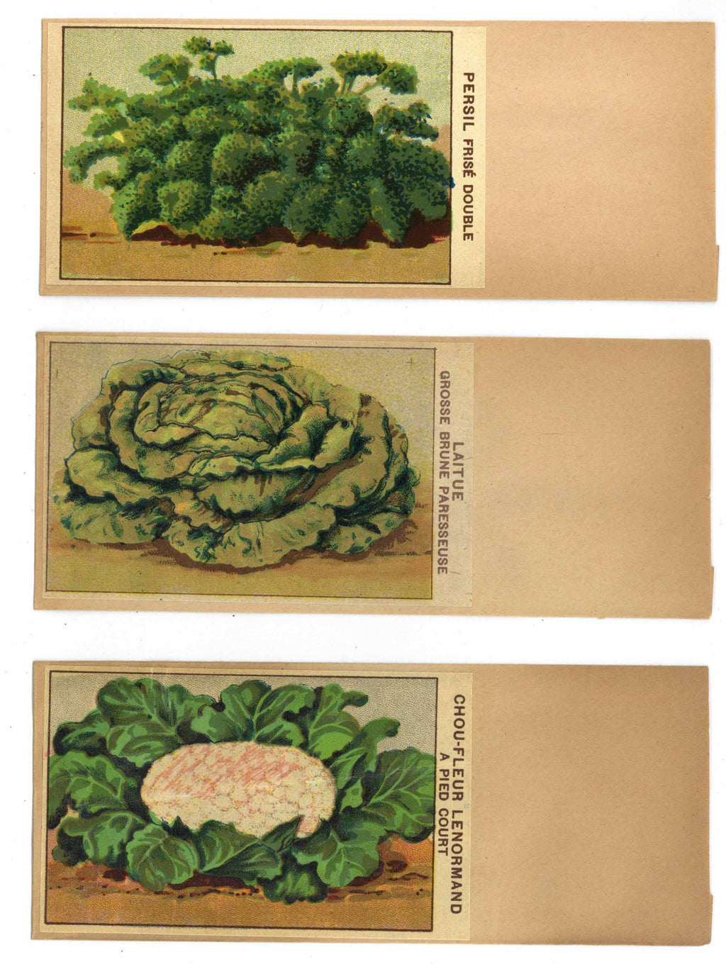 French Vegetable Antique Seed Packet Collection #12