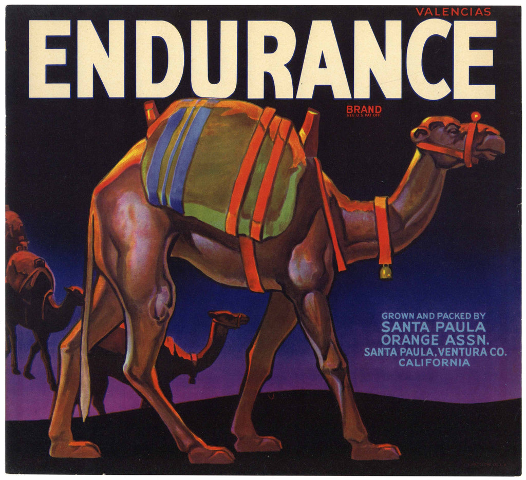 Endurance Brand Vintage Santa Paula Orange Crate Label