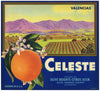 Celeste Brand Vintage Orange Crate Label, Orange County