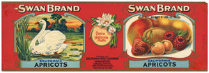 Swan Brand Vintage Apricots Can Label