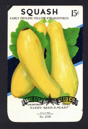 Squash Vintage Lone Star Seed Packet, Yellow
