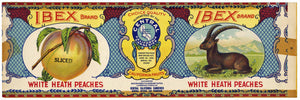 Ibex Brand Vintage White Heath Peach Can Label
