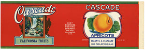 Cascade Brand Vintage Apricot Can Label