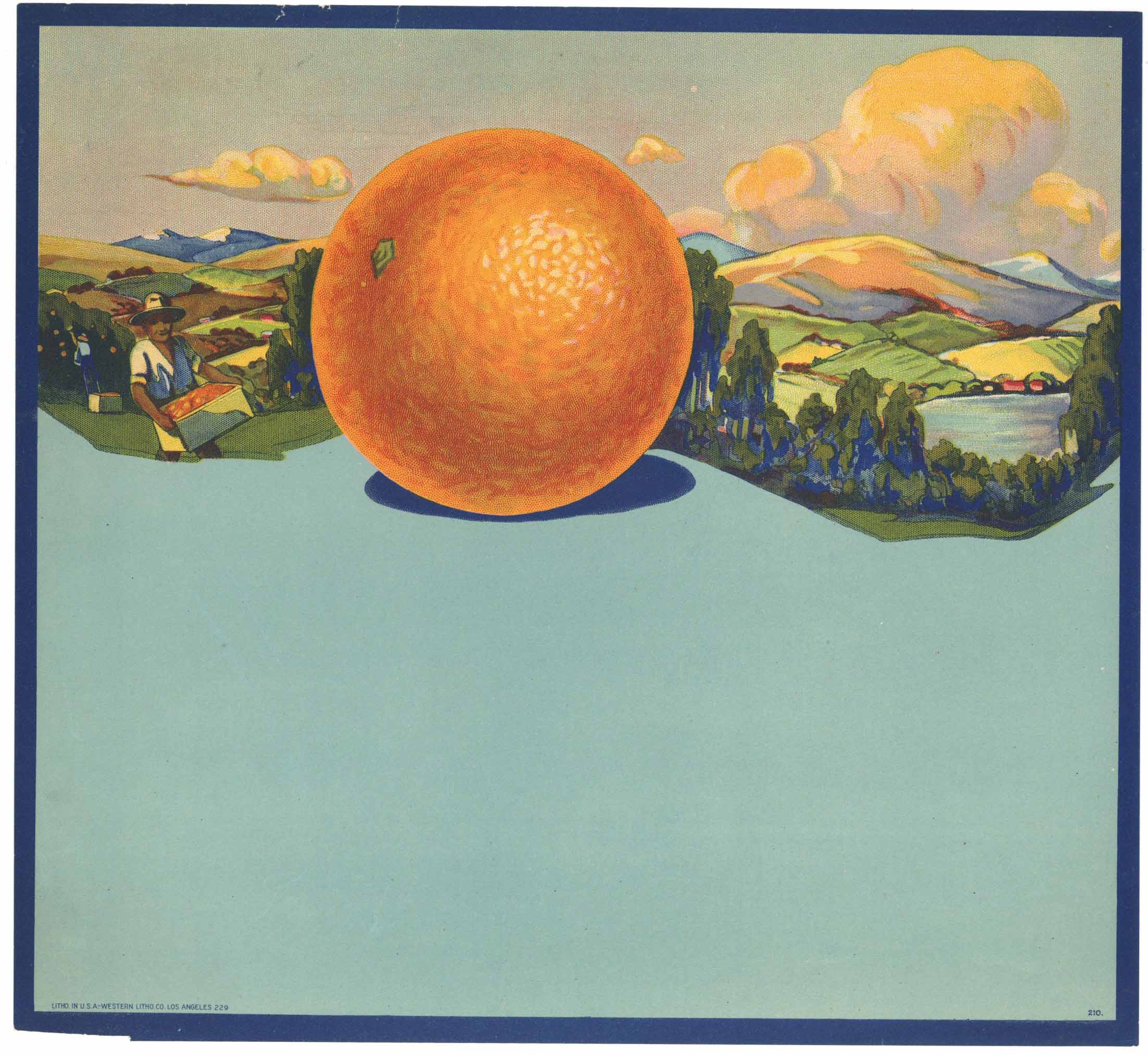 Stock Label No. 210 Vintage Orange Crate Label – thelabelman