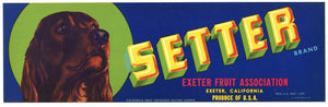 Setter Brand Vintage Exeter Fruit Crate Label, Dog