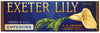 Exeter Lily Vintage Grape Crate Label