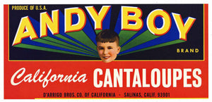 Andy Boy Brand Vintage Salinas Melon Crate Label
