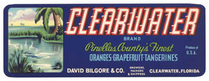 Clearwater Brand Vintage Florida Citrus Crate Label