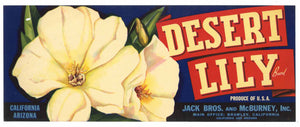 Desert Lily Brand Vintage Arizona Fruit Crate Label, hole