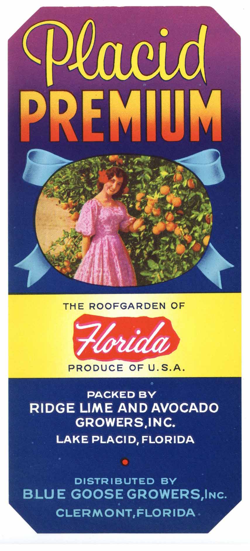 Placid Premium Brand Vintage Florida Citrus Crate Label