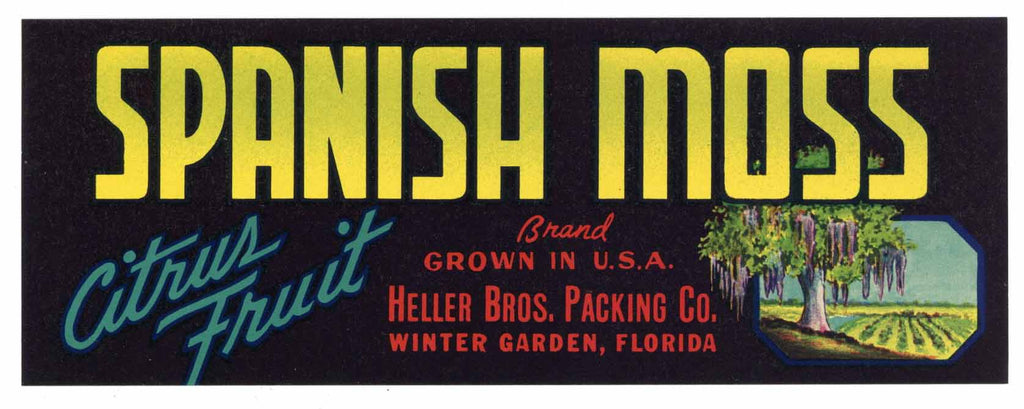 Spanish Moss Brand Vintage Winter Garden Florida Citrus Crate Label