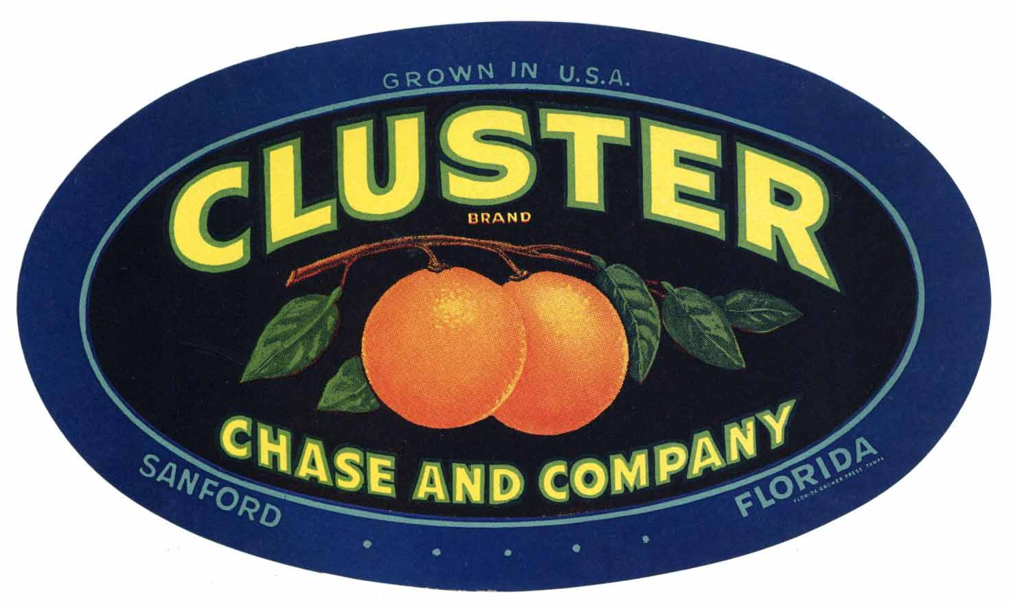 Cluster Brand Vintage Sanford Florida Citrus Crate Label