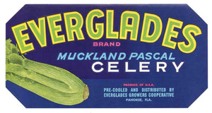 Everglades Brand Vintage Pahokee Florida Celery Crate Label