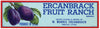 Ercanbrack Fruit Ranch Brand Vintage Provo Utah Plum Crate Label