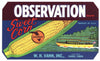 Observation Brand Vintage Pahokee Florida Vegetable Crate Label