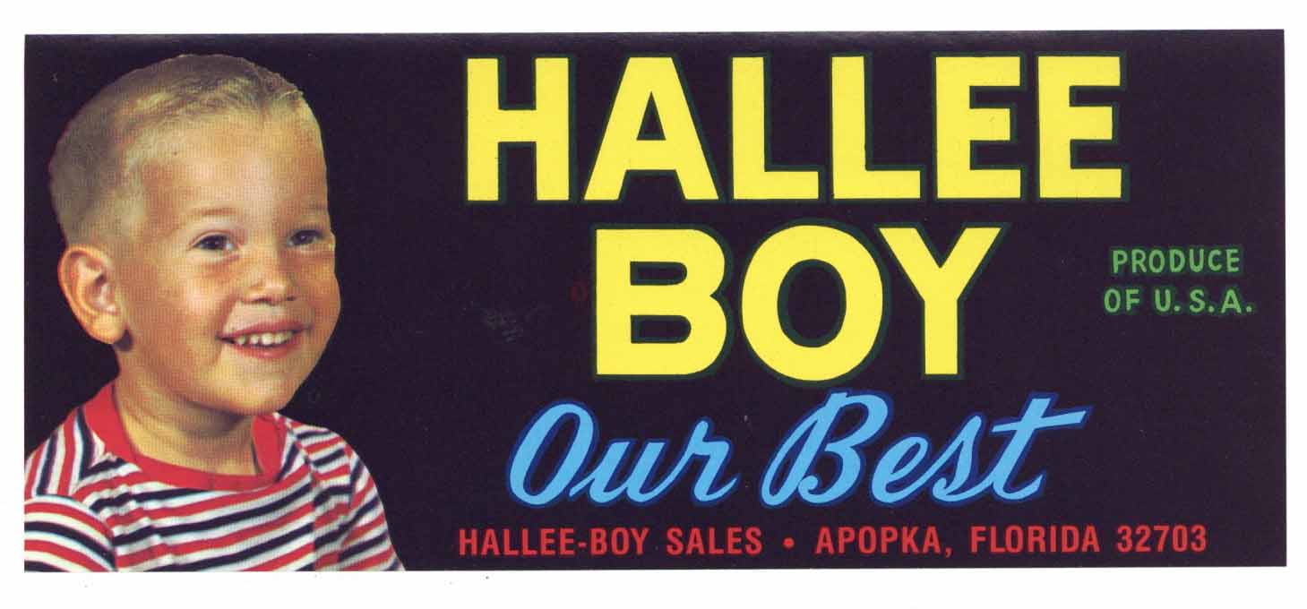 Hallee Boy Brand Vintage Apopka Florida Vegetable Crate Label