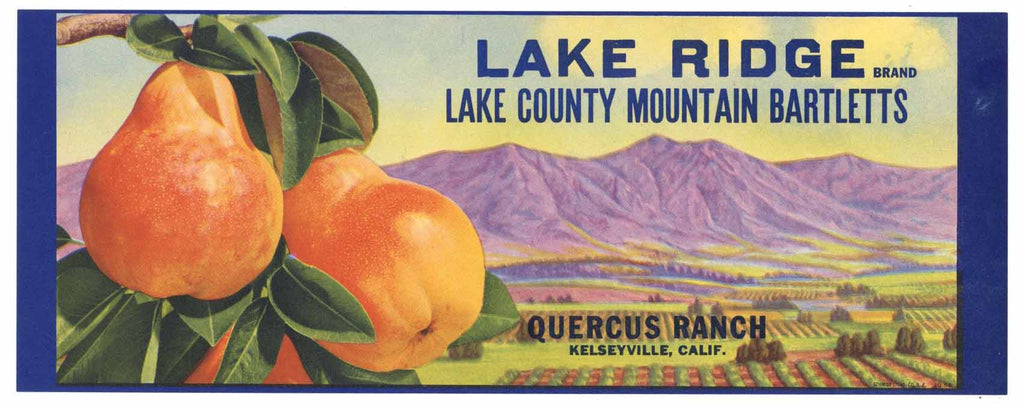 Lake Ridge Brand Kelseyville Pear Crate Label, s