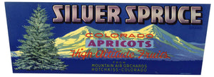 Silver Spruce Brand Vintage Colorado Apricot Fruit Crate Label