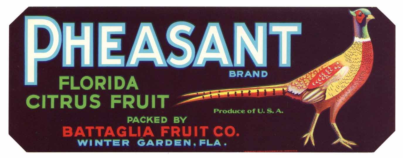 Pheasant Brand Vintage Winter Garden Florida Citrus Crate Label, b