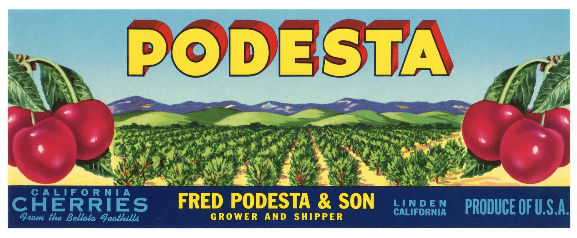 Podesta Brand Vintage Linden Cherry Crate Label