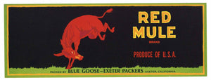 Red Mule Brand Vintage Fruit Crate Label