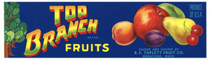 Top Branch Brand Vintage Wenatchee Fruit Crate Label