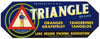 Triangle Brand Vintage Tavares Florida Citrus Crate Label