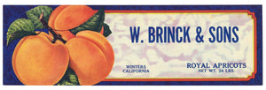 W. Brinck & Sons Brand Vintage Apricot Crate Label