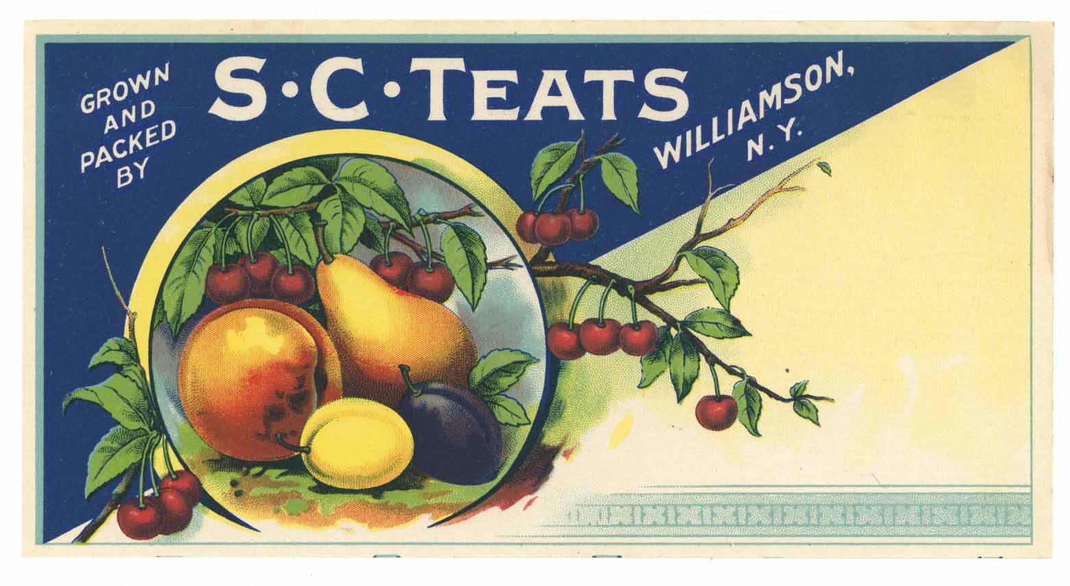 S C Teats Brand Vintage Williamson, New York Fruit Crate Label