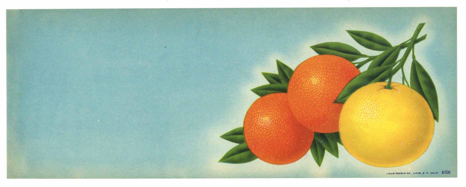 Stock #8000 Vintage Florida Citrus Crate Label