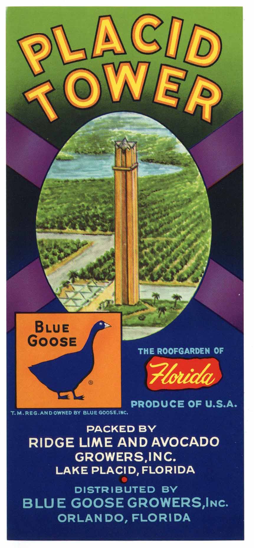Placid Tower Brand Vintage Florida Citrus Crate Label