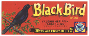 Black Bird Brand Vintage Howey Florida Citrus Crate Label