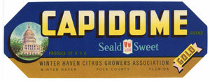 Capidome Brand Vintage Winter Haven Florida Citrus Crate Label, gold
