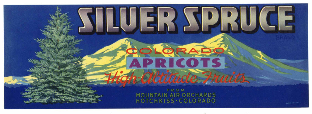 Silver Spruce Brand Vintage Hotchkiss Colorado Apricot Crate Label