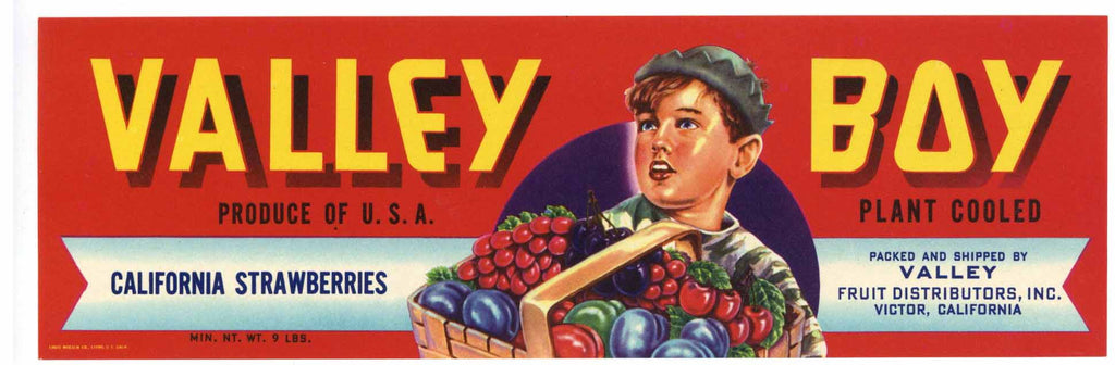 Valley Boy Brand Vintage Victor Strawberry Crate Label