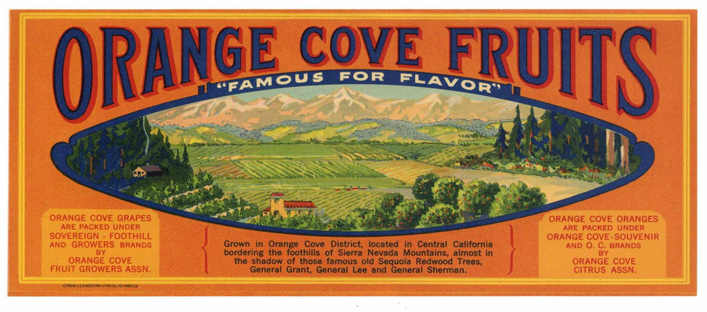 Orange Cove Fruits Brand Vintage Fruit Crate Label