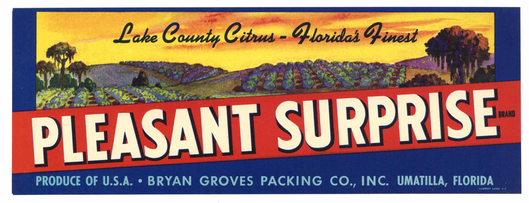 Pleasant Surprise Brand Vintage Umatilla Florida Citrus Crate Label