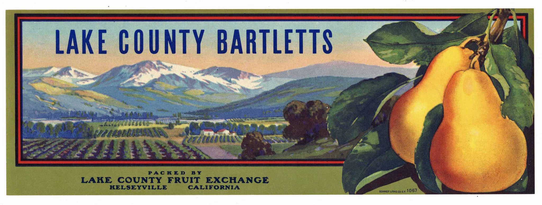 Lake County Bartletts Brand Vintage Kelseyville Pear Crate Label